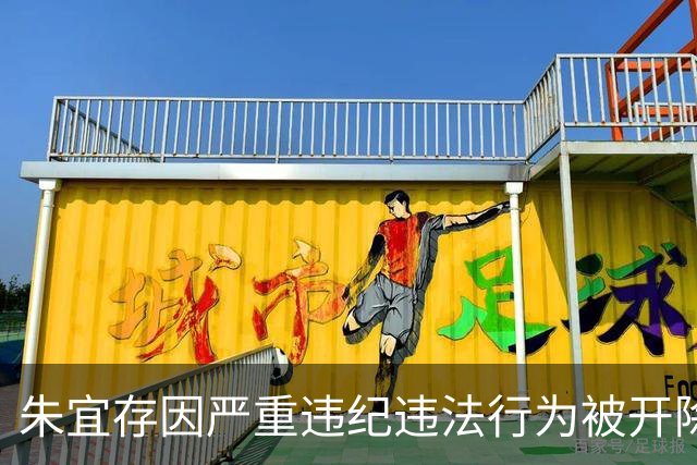 朱宜存因严重违纪违法行为被开除党籍